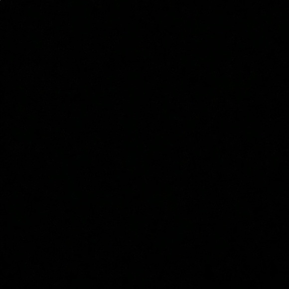 Meet your Posher, Rylie - Picture 1 of 1